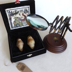 NEW OOAK DEMON TEETH TAXIDERMY MAGNIFYING GLASS DISPLAY GOTHIC HORROR ODDITY